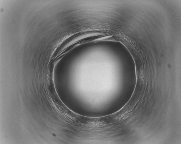 X0000059100540200510211635