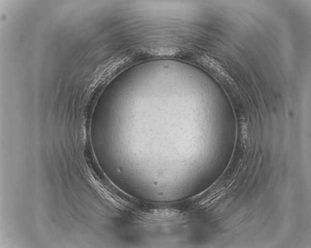 X0000059100541200510211635