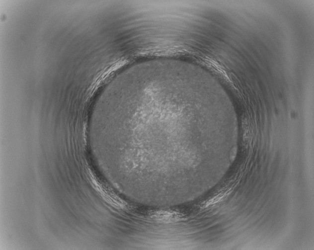 X0000059100542200510211635