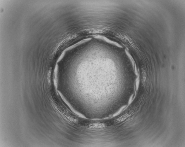 X0000059100543200510211635