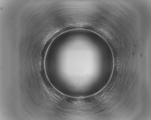 X0000059100544200510211635