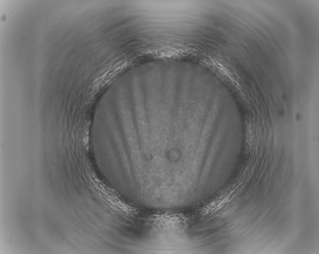 X0000059100545200510211635