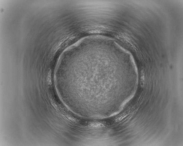 X0000059100547200510211635