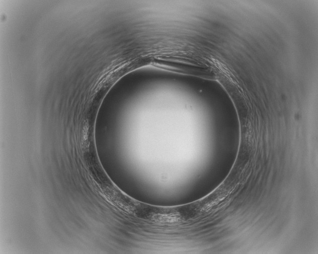 X0000059100548200510211635