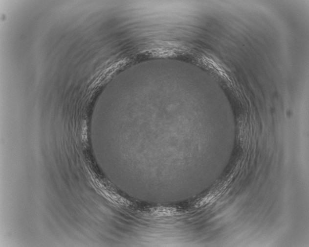 X0000059100549200510211635