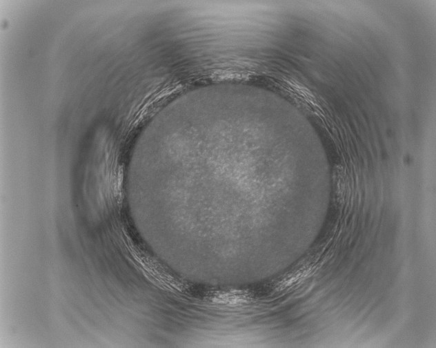 X0000059100550200510211635