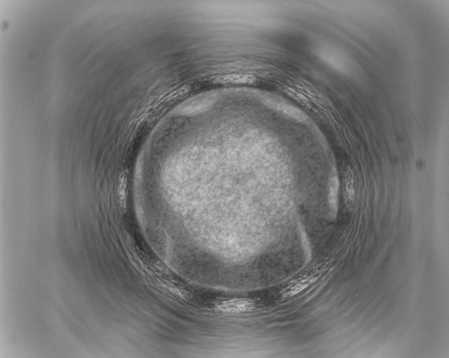 X0000059100551200510211635