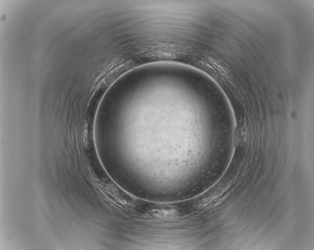 X0000059100552200510211635