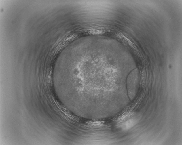 X0000059100553200510211635