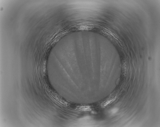 X0000059100554200510211635