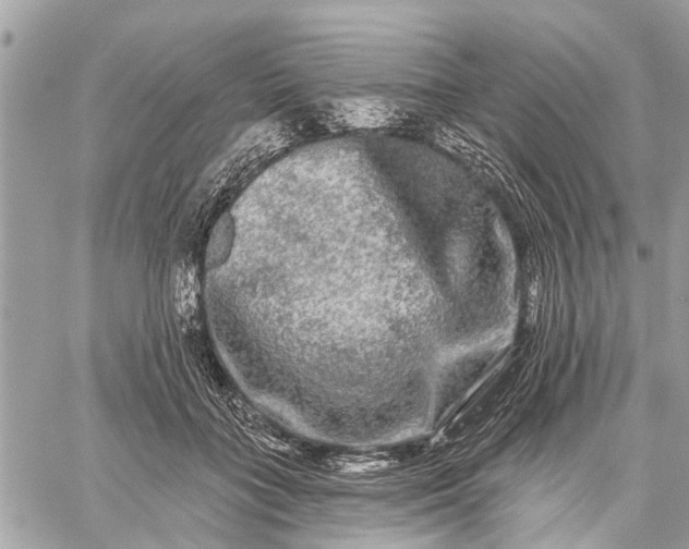 X0000059100555200510211635