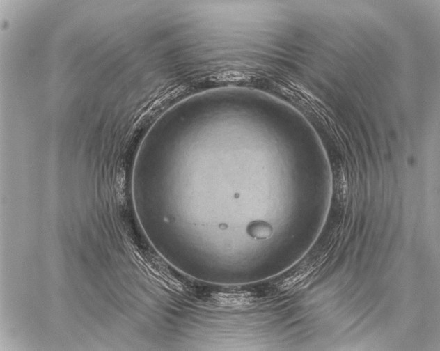 X0000059100556200510211635