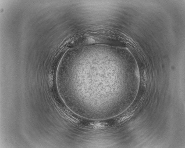 X0000059100558200510211635