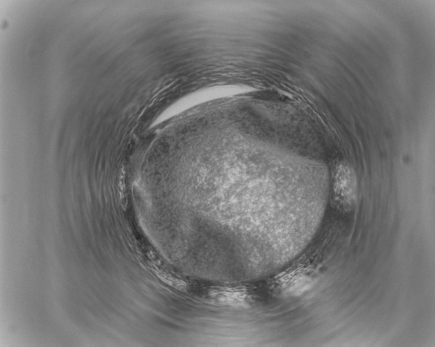 X0000059100559200510211635