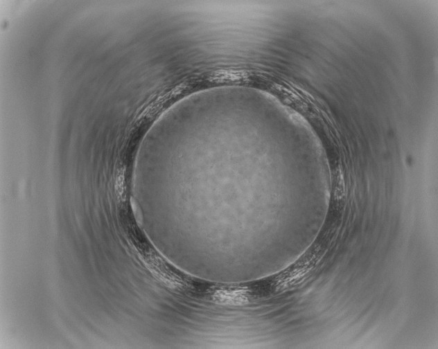 X0000059100560200510211635