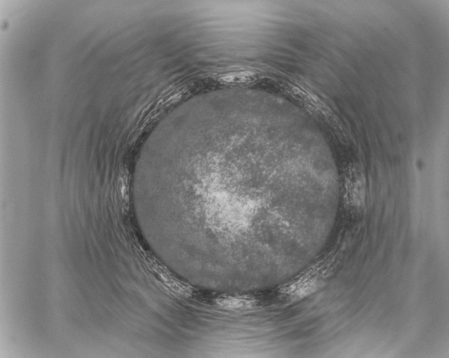 X0000059100561200510211635