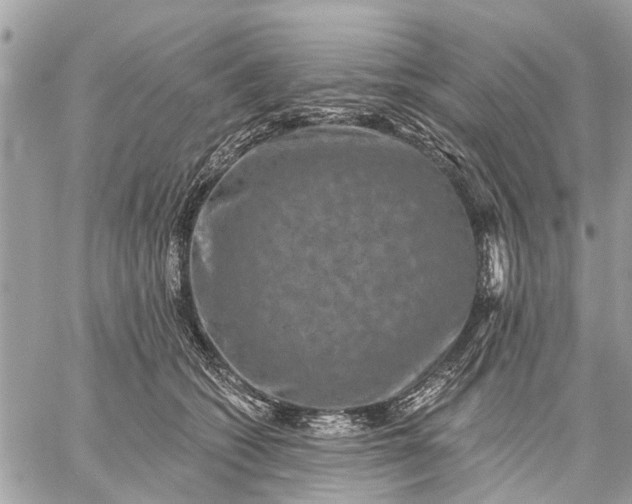 X0000059100562200510211635