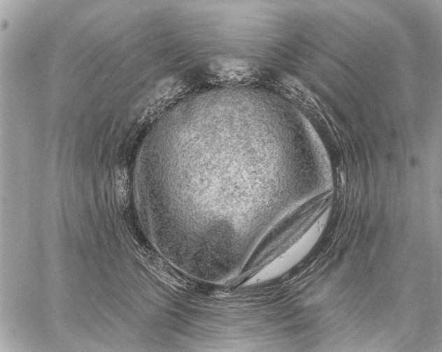 X0000059100563200510211635