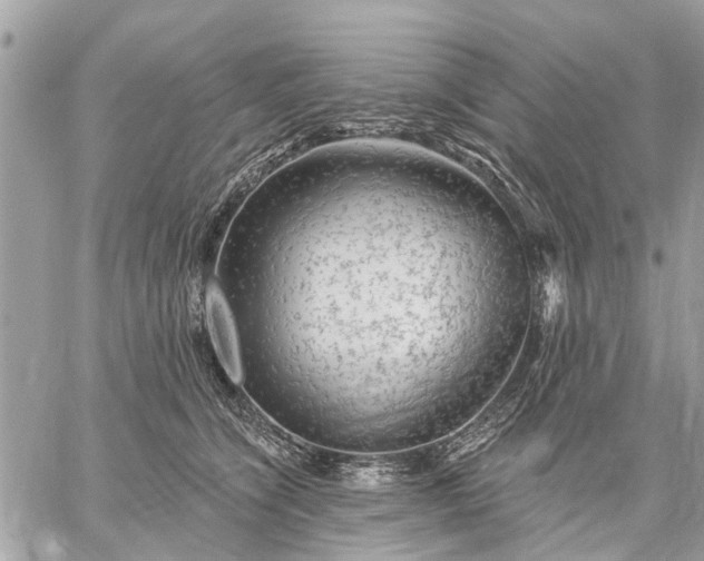 X0000059100564200510211635