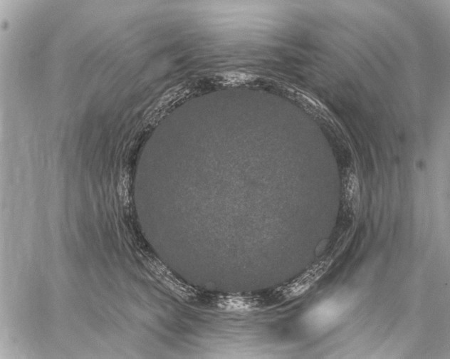 X0000059100565200510211635