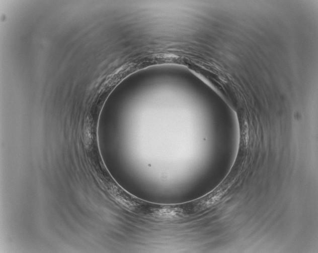 X0000059100566200510211635