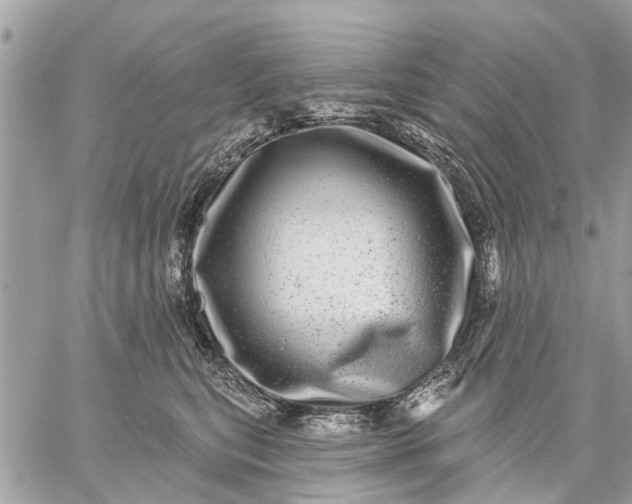 X0000059100567200510211635