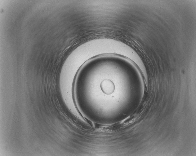 X0000059100568200510211635