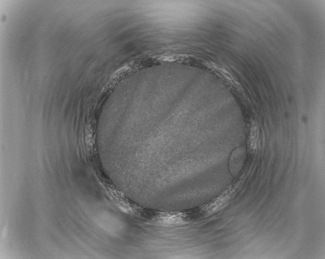 X0000059100569200510211635