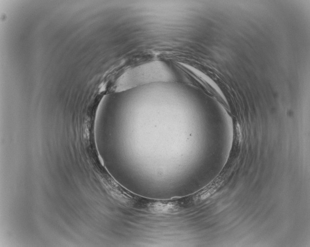 X0000059100570200510211635