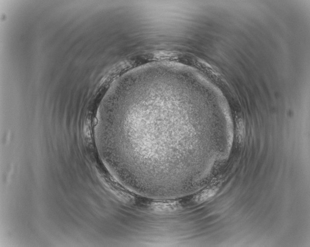 X0000059100571200510211635