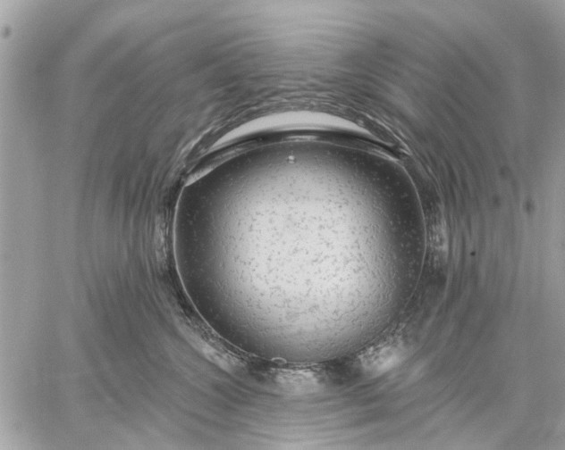 X0000059100572200510211635