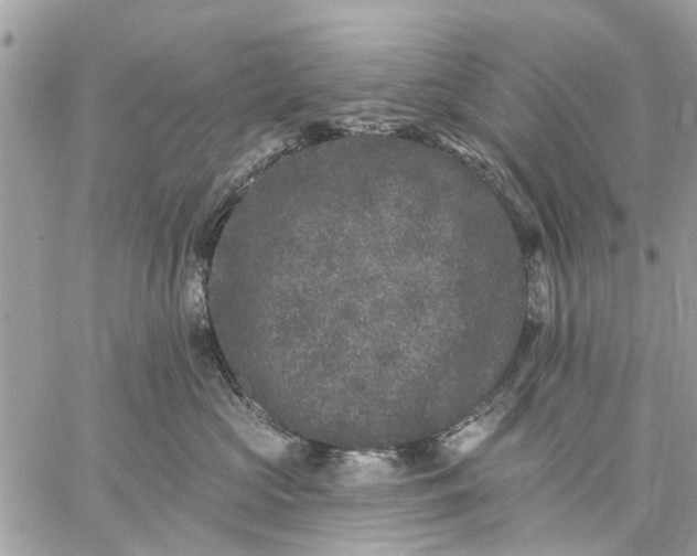 X0000059100573200510211635