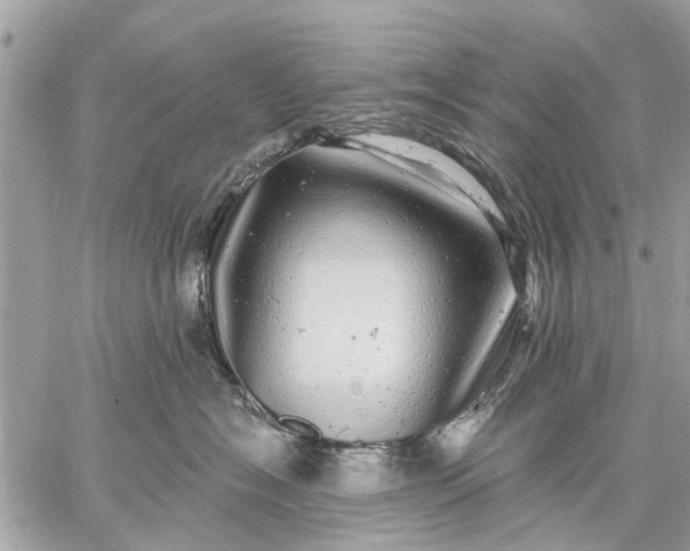 X0000059100574200510211635