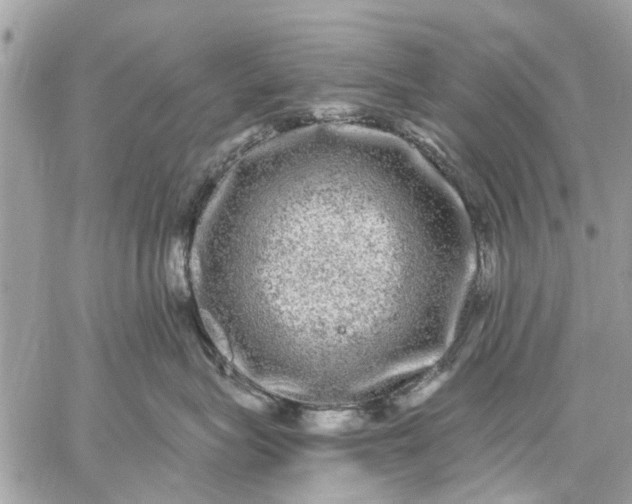 X0000059100575200510211635