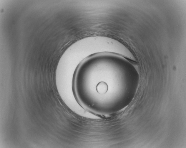 X0000059100576200510211635