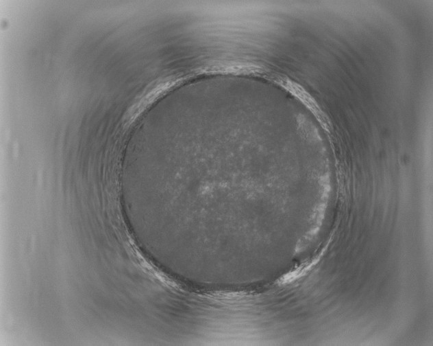 X0000059100577200510211635