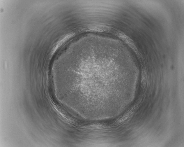 X0000059100578200510211635