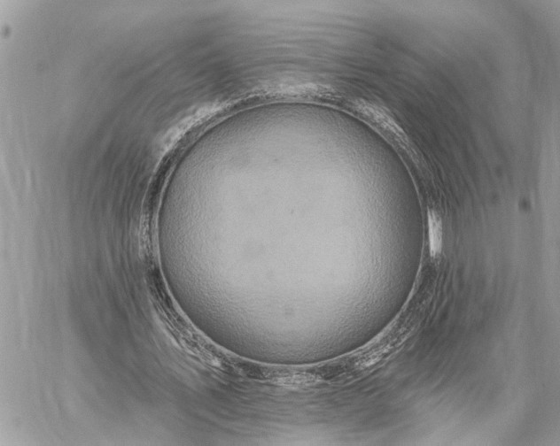 X0000059100579200510211635