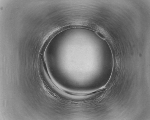 X0000059100580200510211635