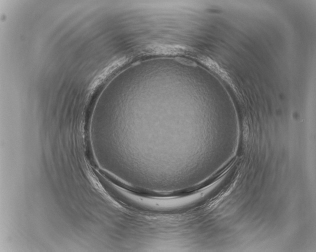 X0000059100581200510211635