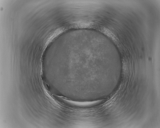 X0000059100582200510211634