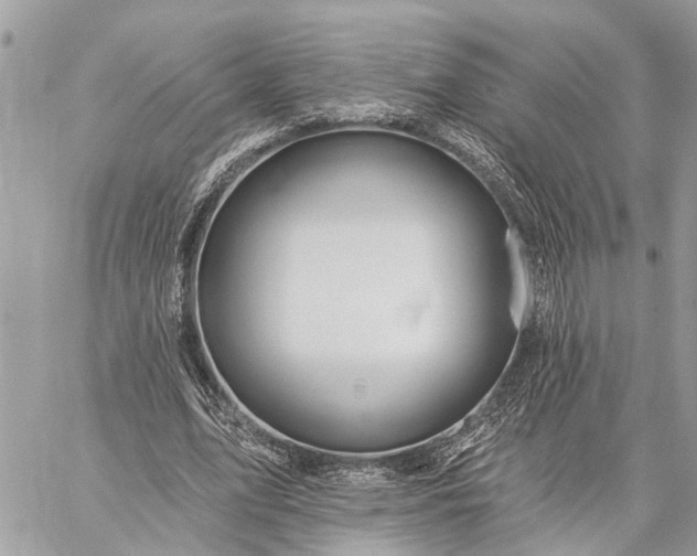 X0000059100583200510211634