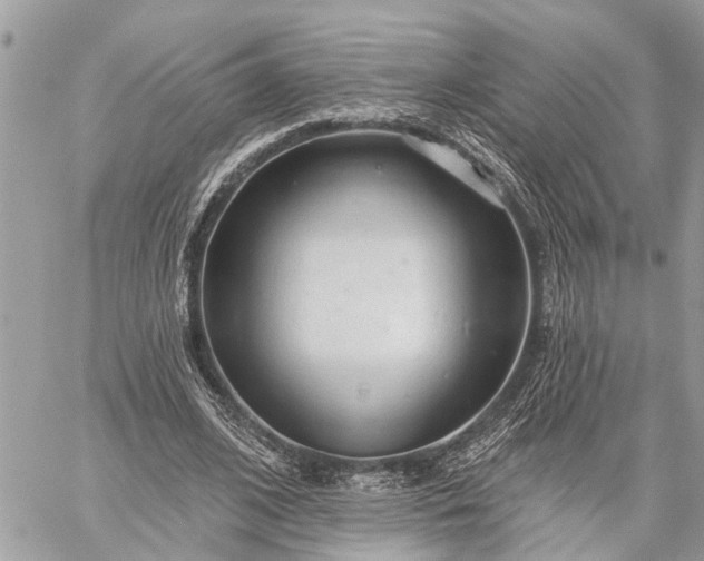 X0000059100584200510211634