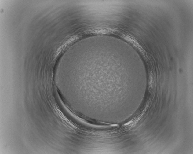 X0000059100585200510211634