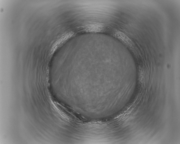 X0000059100586200510211634