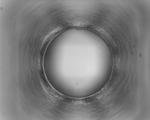 X0000059100587200510211634