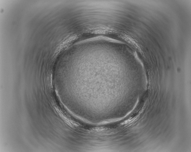 X0000059100589200510211634