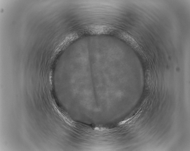 X0000059100590200510211634