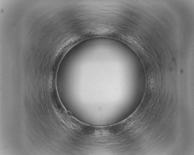 X0000059100591200510211634