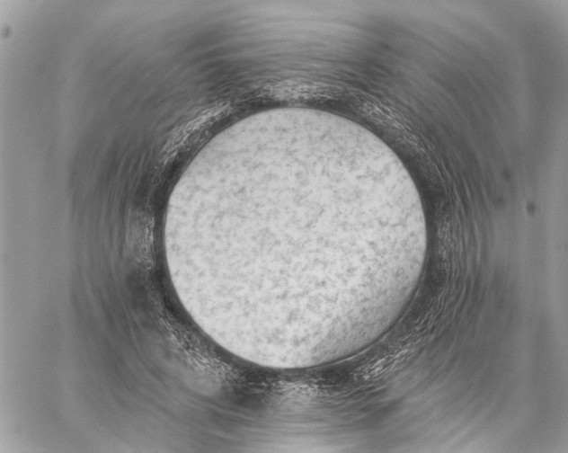 X0000059100592200510211634